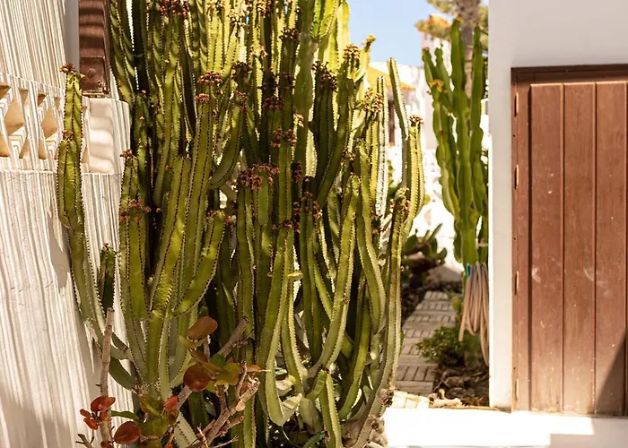 El Piloto By Holidays Fuerteventura Dom wakacyjny Corralejo