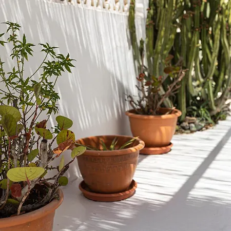 El Piloto By Holidays Fuerteventura