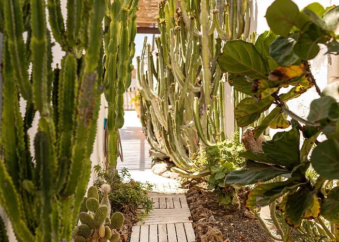 El Piloto By Holidays Fuerteventura בית נופש *