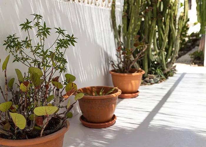 El Piloto By Holidays Fuerteventura